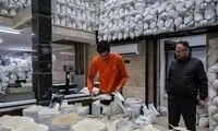 برنج پاکستانی با لباس ایرانی به بازار آمد