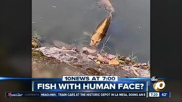 ماهی عجیب صورت انسانی!