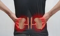 کلیه‌ها و دلایل احساس درد در آنها