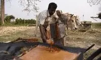 تصاویری از روش سنتی تولید شکر طلایی در هند