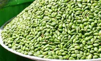 چاقاله‌بادام برای درمان آفت مکرر مفید است