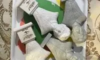 عشق به شجریان مجسمه‌سازم کرد