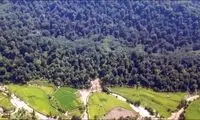 ملی ماندن هیرکانی در انتظار تصمیم دیوان عالی