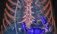 برترین تصاویر علمی Wellcome Image 2014