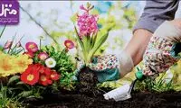 فواید باورنکردنی پرورش گیاهان