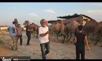 «رعد و برق» باز هم به پخش نرسید