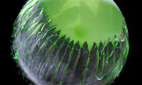 بادکنک چگونه می‌ترکد؟ + عکس
