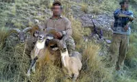 تصاویر تکان دهنده از کشتار گسترده حیوانات