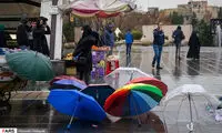 تصاویر دیدنی از فصل چترها