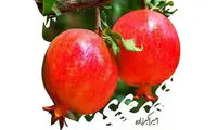 مینی شعر (344)