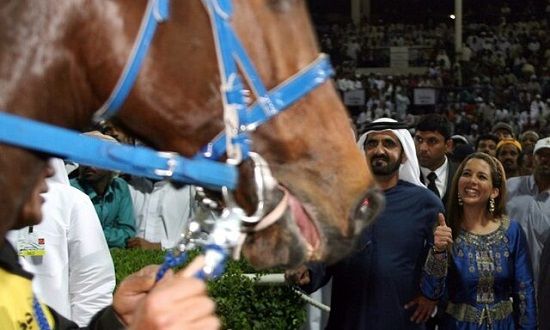 حاکم دبی، اسب‌ها را بر خانواده‌اش ترجیح می‌دهد!