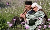 یک عکس عاشقانه کم نظیر