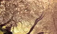 عکس های زیبا و منحصربفرد بانوی جوان، چشم در چشم!