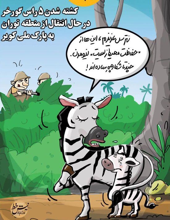 کاریکاتور: واکنش جدید گورخرها به شکارچیان!