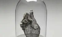بافت قلب سیمی! +عکس