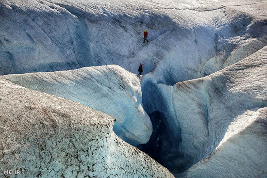 دنیای یخ +عکس