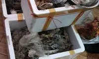 پلمپِ رستوران عرضه‌ خرچنگ و هشت‌پا در پایتخت