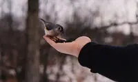 درسهایی برای زندگی که به آن فکر نکرده اید