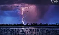 برندگان شگفت انگیز مسابقه عکاسی سیه نا