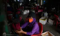 تصاویر رنگارنگ و شگفت انگیز از تولید عود