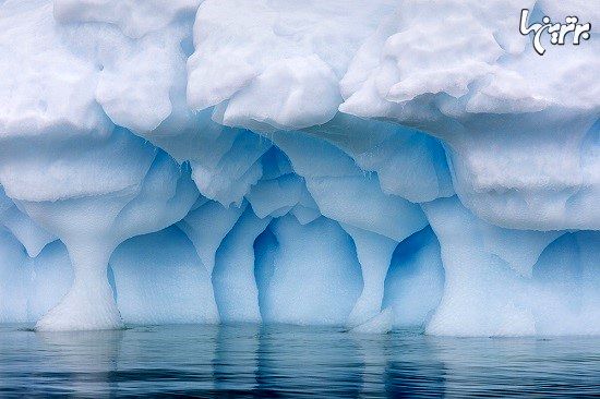 تصاویر دیدنی از بخ های آبی قطب جنوب