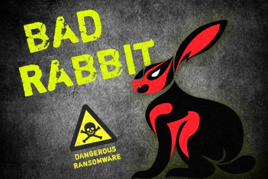 جزئیات انتشار باج گیر سایبری «خرگوش بد»