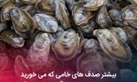 دانستنی‌های جالب؛ از اعتراض جالب کره‌ای ها به چیپس پر از هوا تا پوشک اسکمویی!