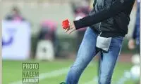 قابی که تا کنون از یحیی گل‌محمدی ندیده‌اید