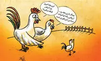 کارتون: ورود «جوجه خروس» به سیاست!