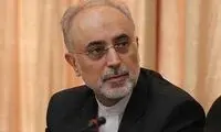 صالحی: اگر افغان‌ها در ایران نبودند چه می‌کردیم؟