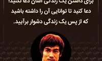 هایلایت (489)