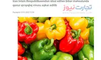 آذربایجان فلفل دلمه‌ای صادراتی ایران را معدوم کرد!