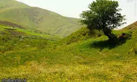 عکس: طبیعت محشر کردستان