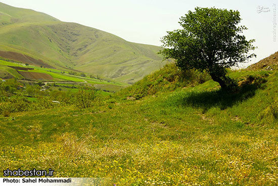 عکس: طبیعت محشر کردستان