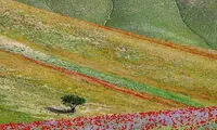 ایرانِ زیبای ما (38)