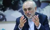 نظر متفاوت صالحی درباره عظمت جمهوری‌ اسلامی