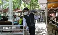 شروط و توصیه‌های ضدکرونایی درباره رستوران‌ها