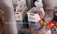 وضعیت ما اگر کرونا همچنان ادامه پیدا کند