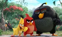 سازندگان Angry Birds متحمل ضرر شدند