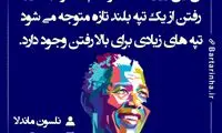 هایلایت (316)
