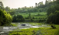 خشک شدن رودخانه‌ها و شالیزار‌ها در لنگرود