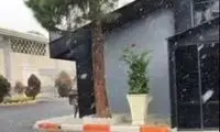 تصاویری از بارش برف امروز در تهران