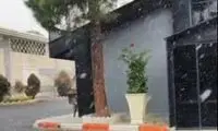 تصاویری از بارش برف امروز در تهران