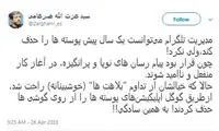 توضیح ضرغامی درباره حذف پوسته‌های تلگرام