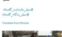 تجلیل توییتری مازیار ناظمی از دختر قهرمان