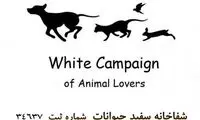 مثل کمپین سفید از حیوانات حمایت کنیم