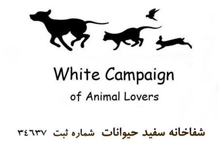 مثل کمپین سفید از حیوانات حمایت کنیم