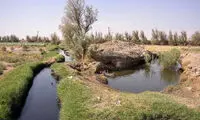 آبیاری زمین با آب فاضلاب در سیستان