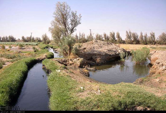 آبیاری زمین با آب فاضلاب در سیستان