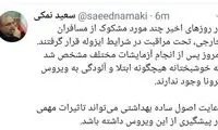 توئیت وزیر بهداشت درباره مسافران خارجی